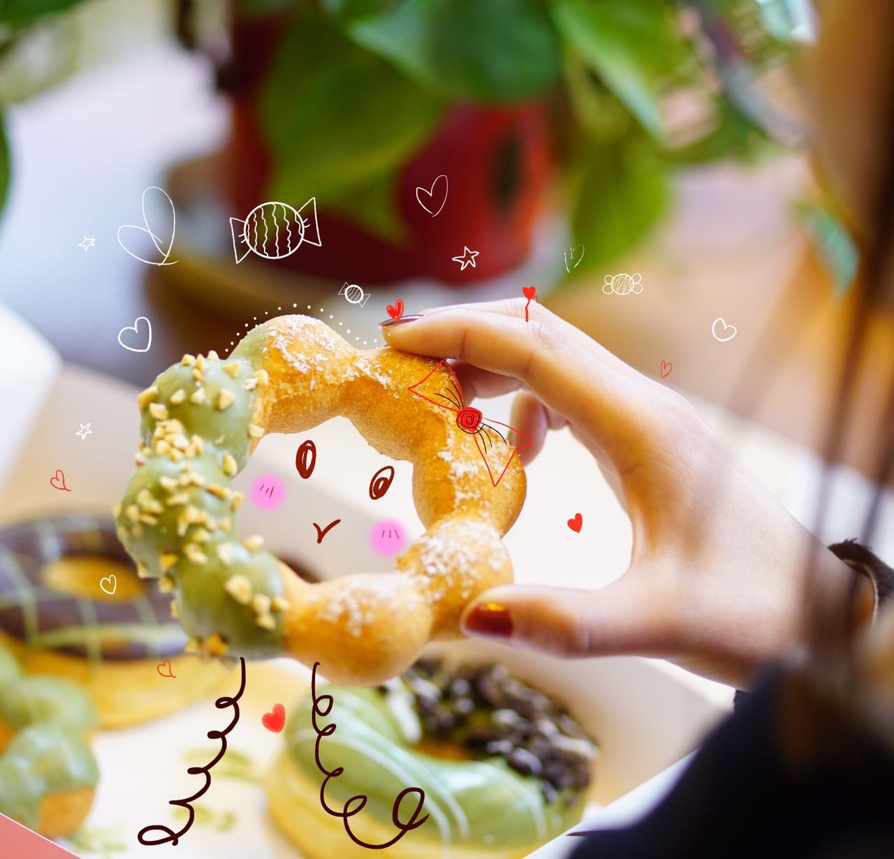 揚(yáng)州楊小姐考察團(tuán)子大家族甜甜圈